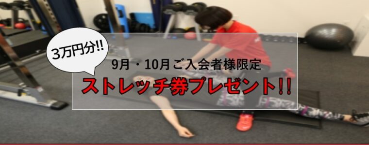 【残り2週間！】マタドール・パーソナルトレーニングジム東京のお得なお知らせ！